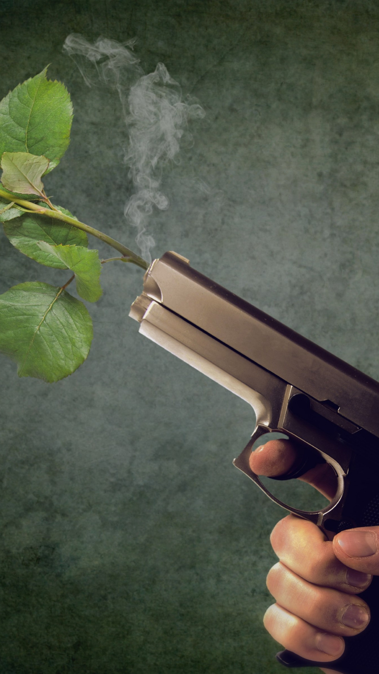 Peaceful act. Pistol and red rose wallpaper 1242x2208