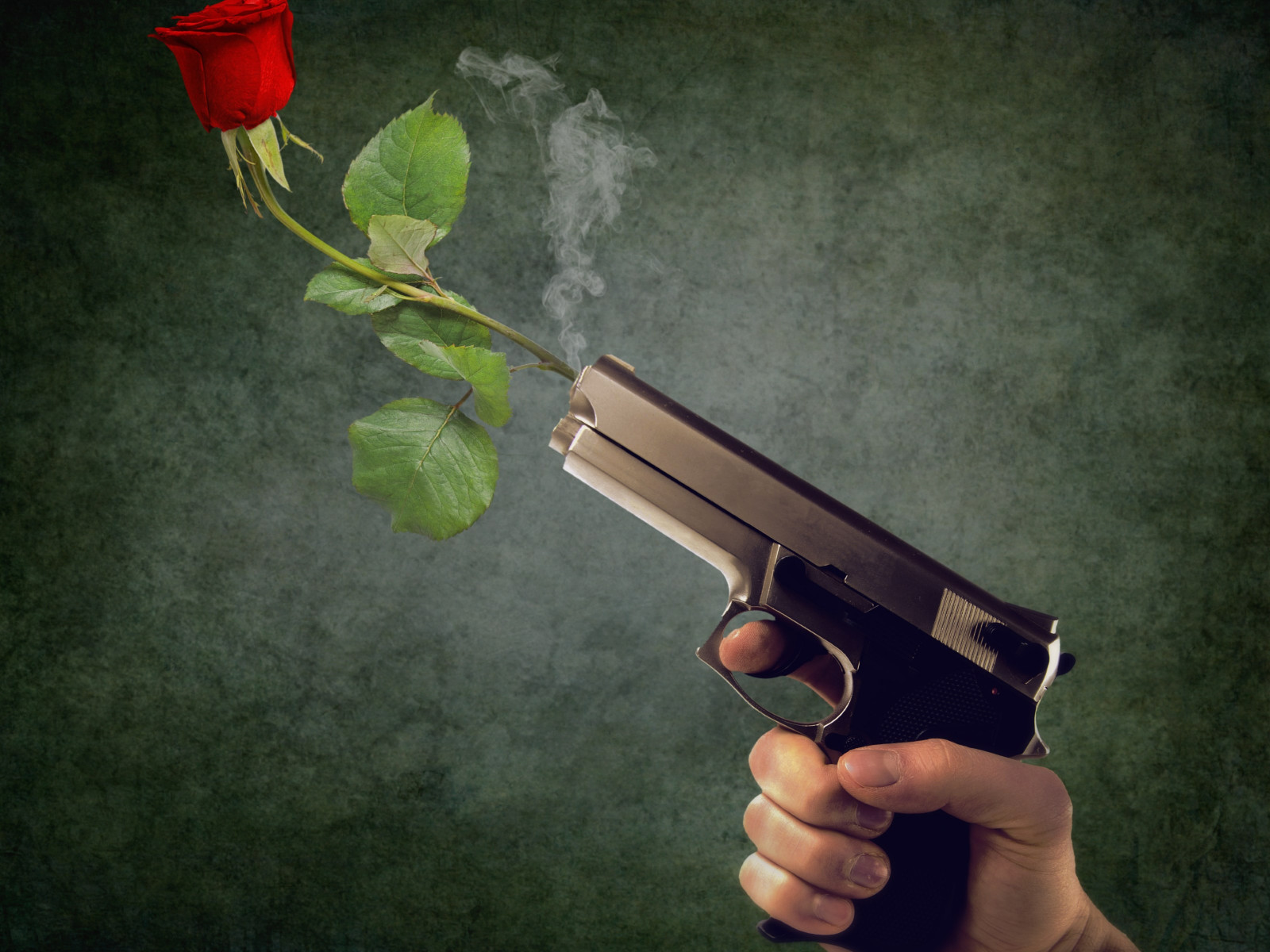 Peaceful act. Pistol and red rose wallpaper 1600x1200