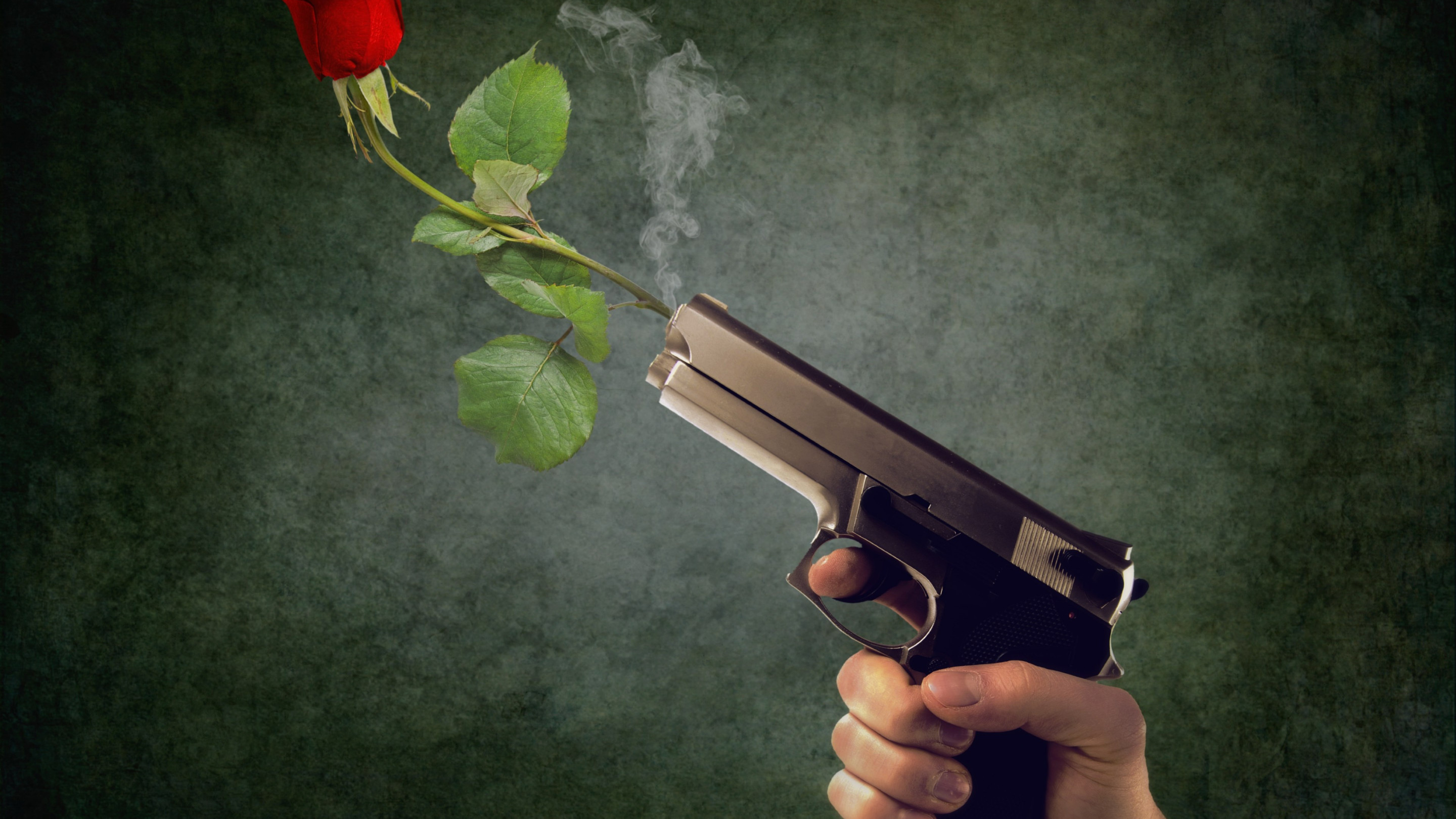 Peaceful act. Pistol and red rose wallpaper 2880x1620