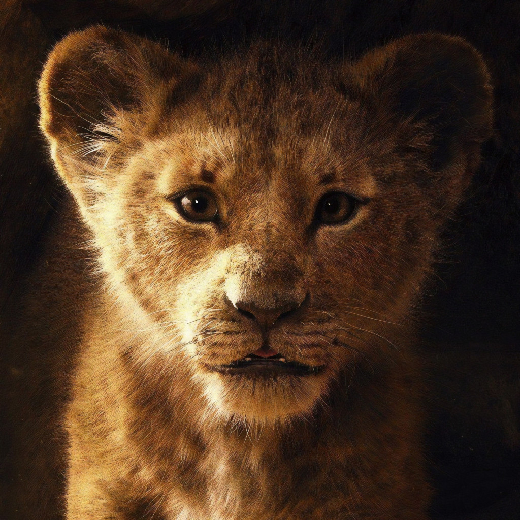 The Lion King 2019 wallpaper 1024x1024