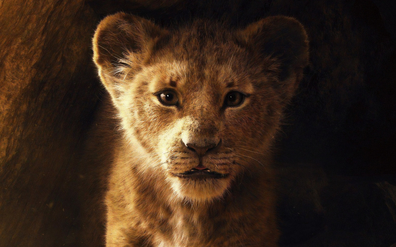 The Lion King 2019 wallpaper 1280x800