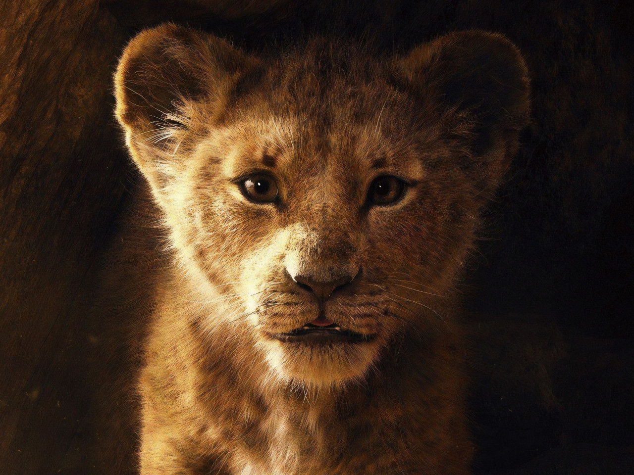 The Lion King 2019 wallpaper 1280x960