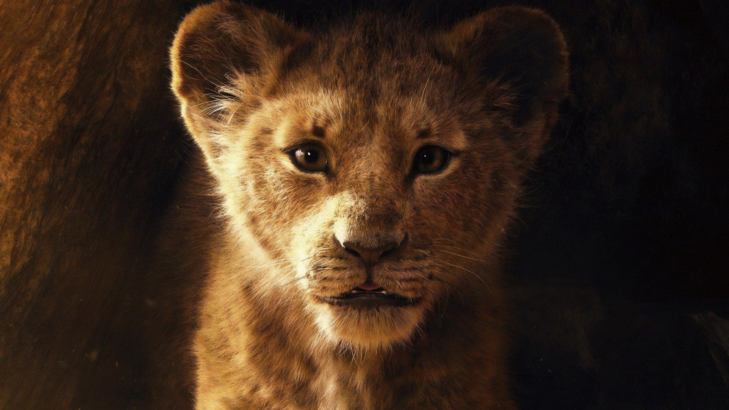 The Lion King 2019 wallpaper 2560x1440