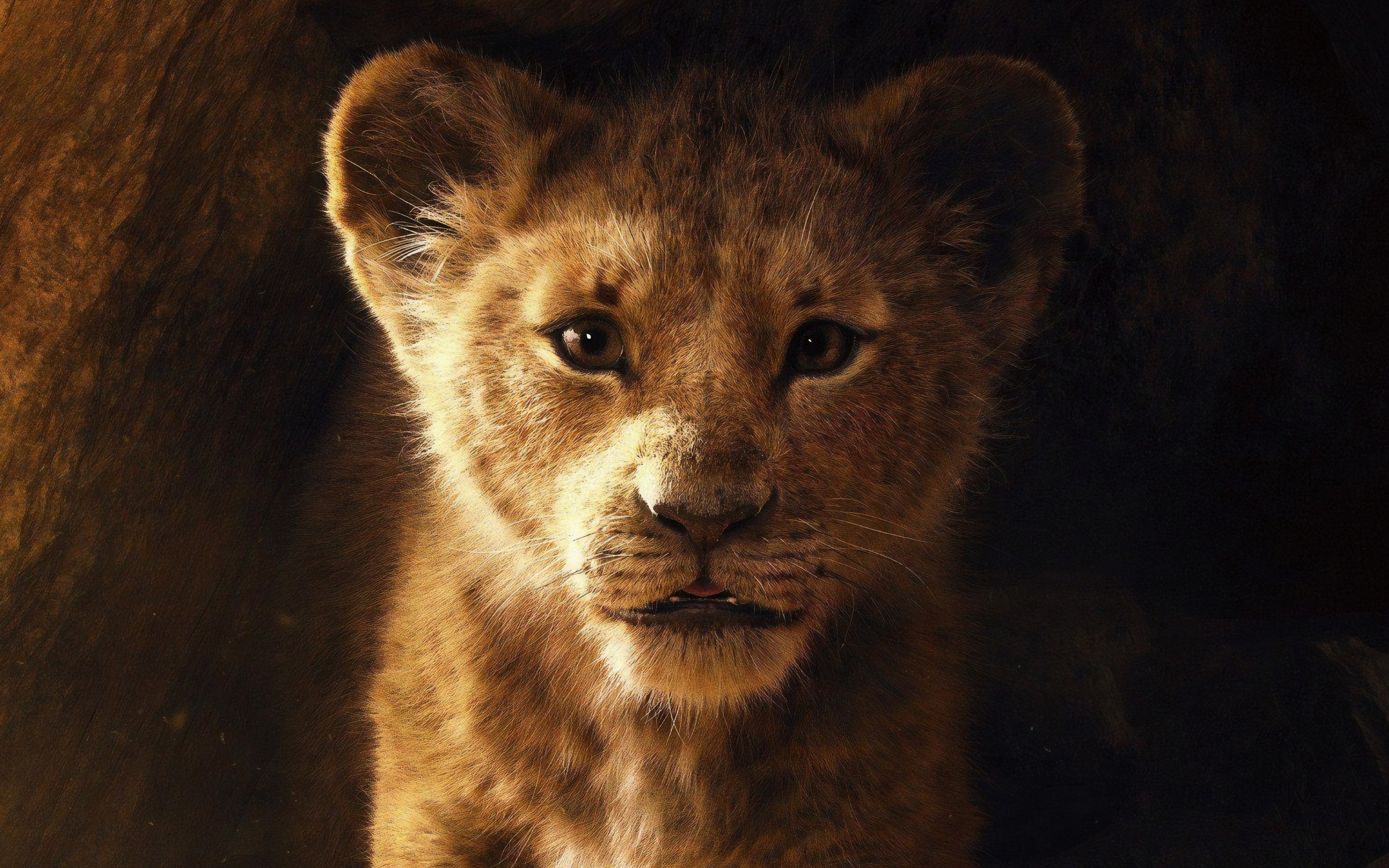 The Lion King 2019 wallpaper 3840x2400