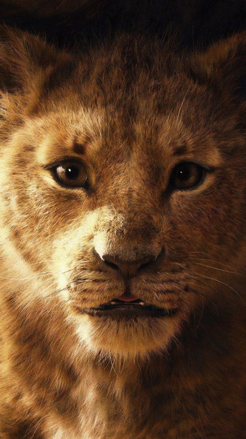 The Lion King 2019 wallpaper 480x854