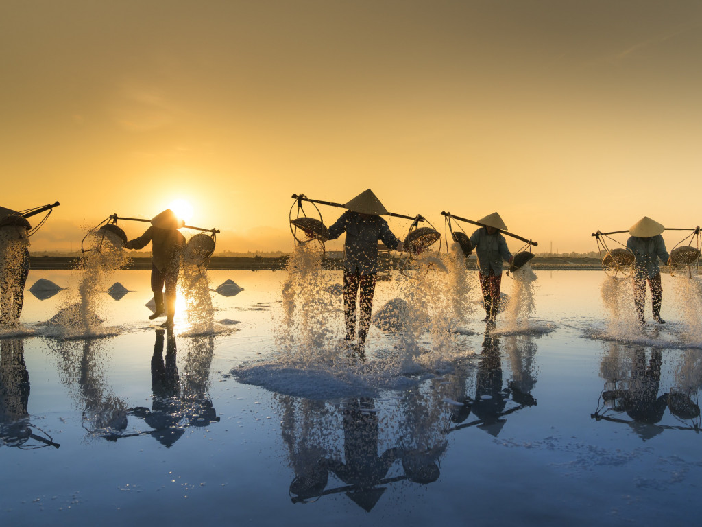 People harvesting salt in Vietnam wallpaper 1024x768