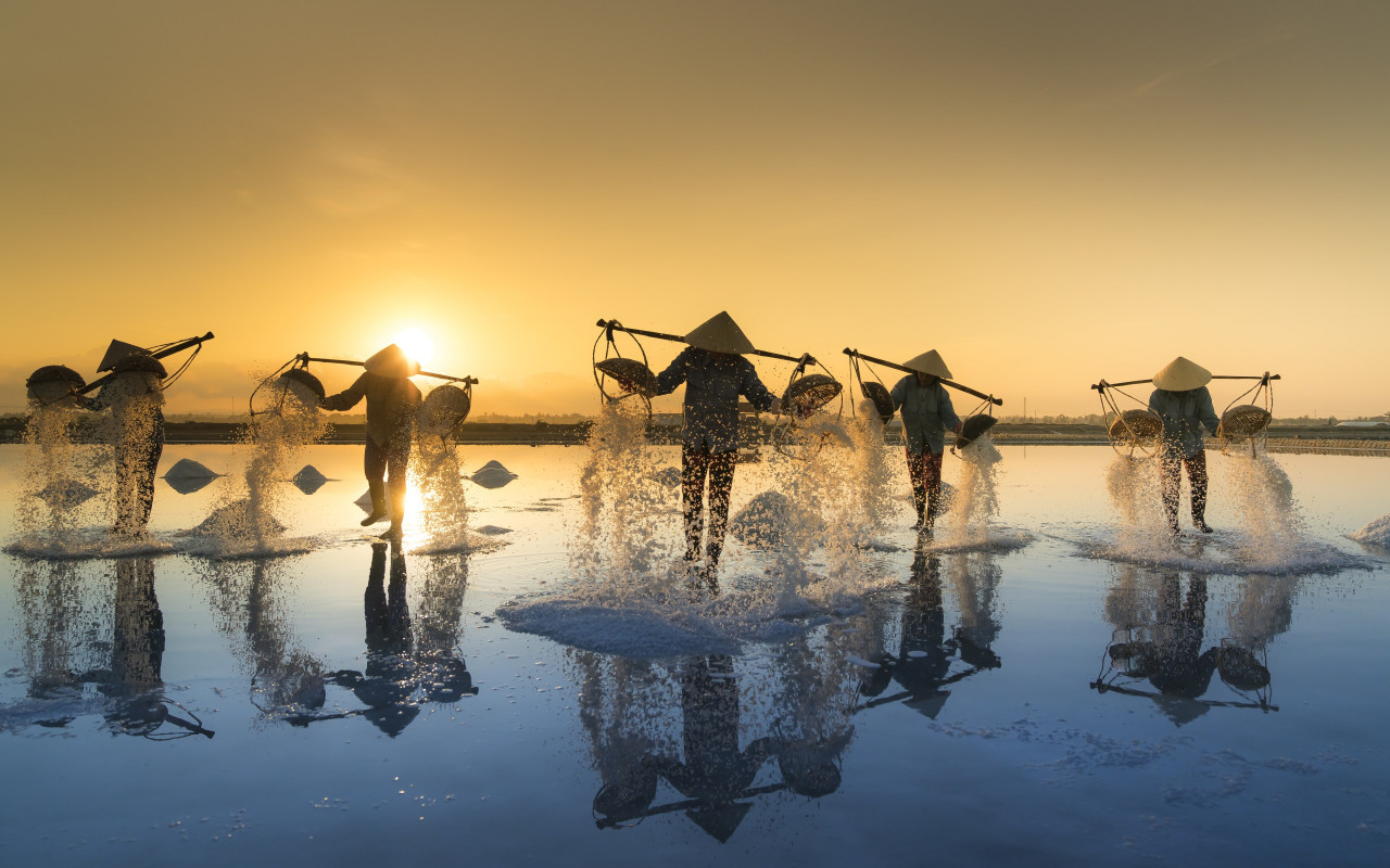 People harvesting salt in Vietnam wallpaper 1280x800