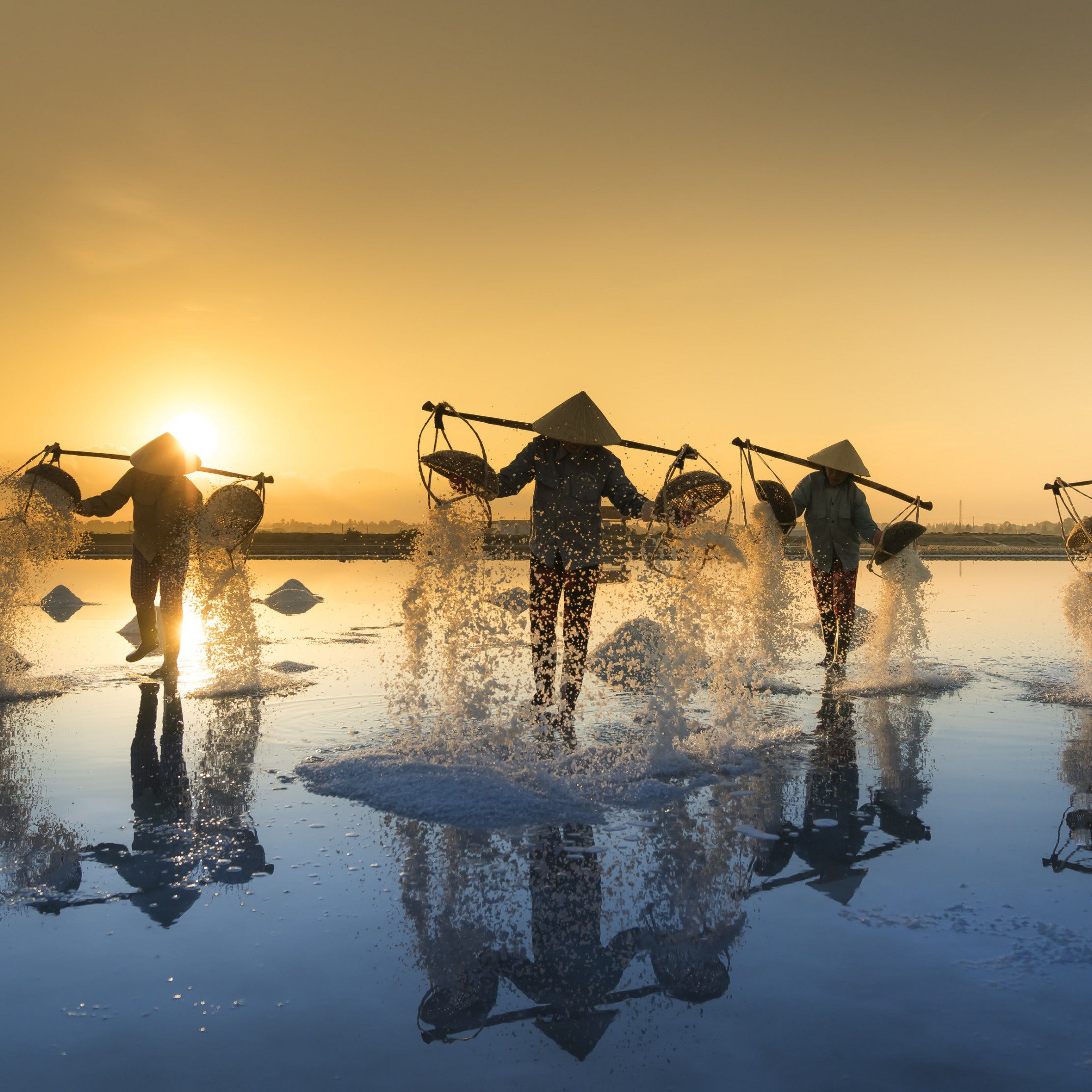 People harvesting salt in Vietnam wallpaper 2224x2224