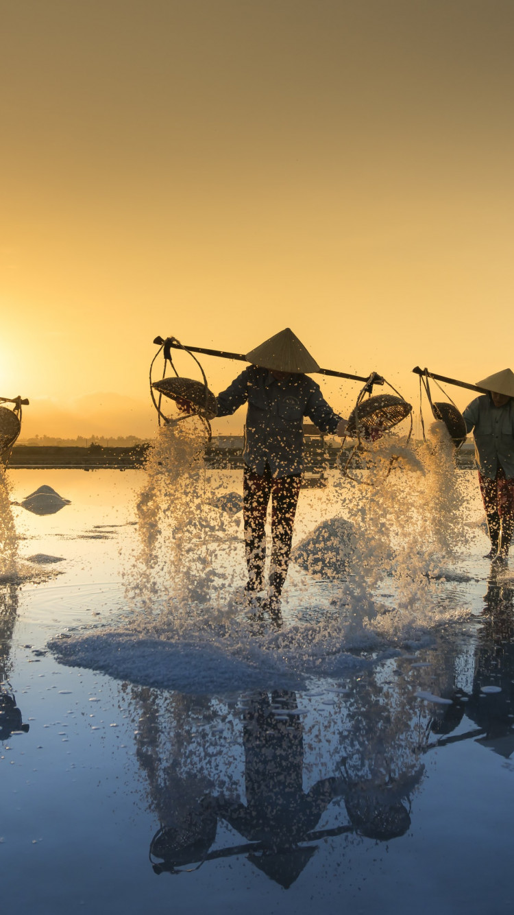 People harvesting salt in Vietnam wallpaper 750x1334