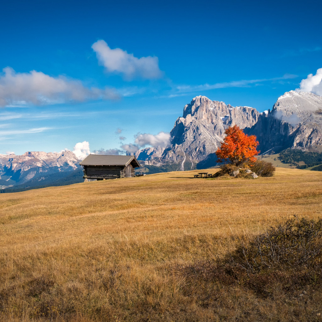 Perfect Autumn landscape from South Tyrol wallpaper 1024x1024