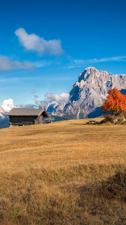 Perfect Autumn landscape from South Tyrol wallpaper 480x854