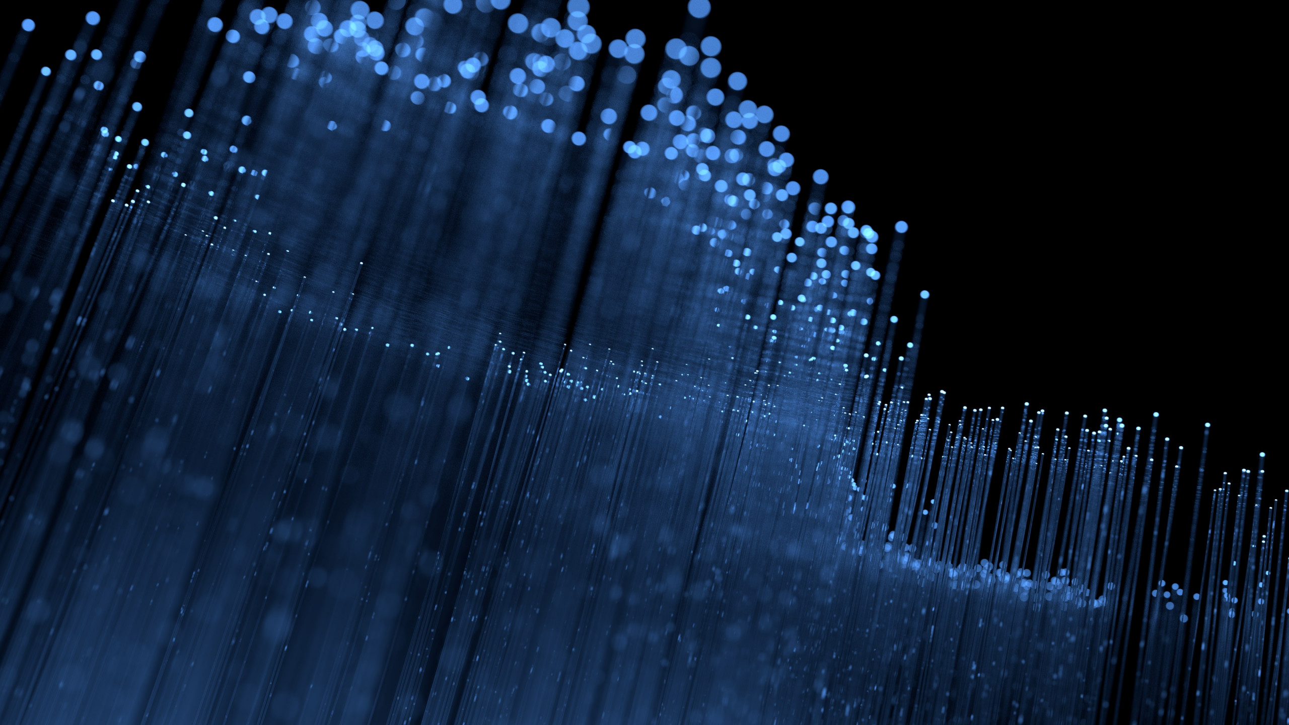 Fedora blue particles wallpaper 2560x1440