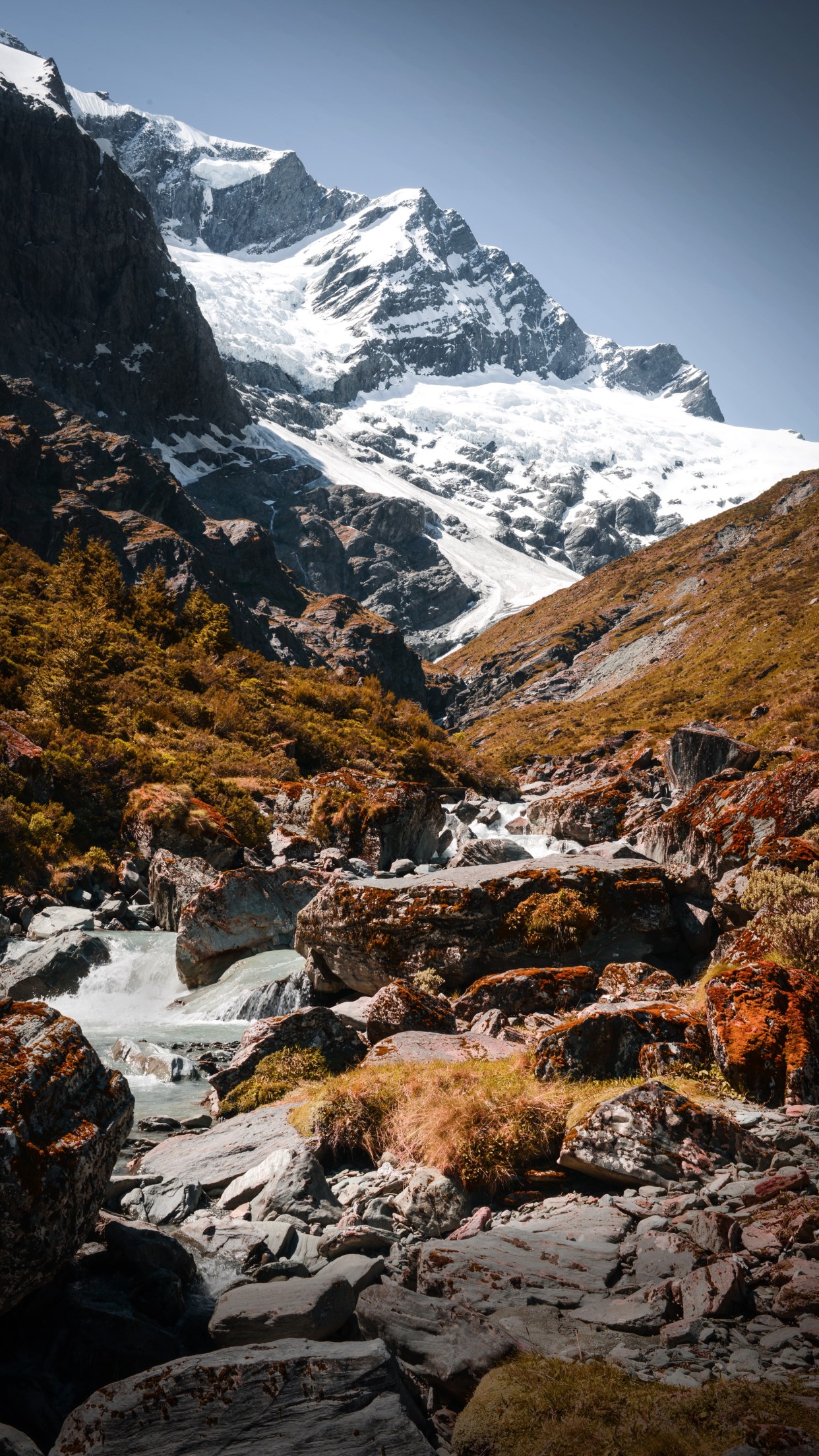 Mount Aspiring National Park, New Zealand wallpaper 1242x2208