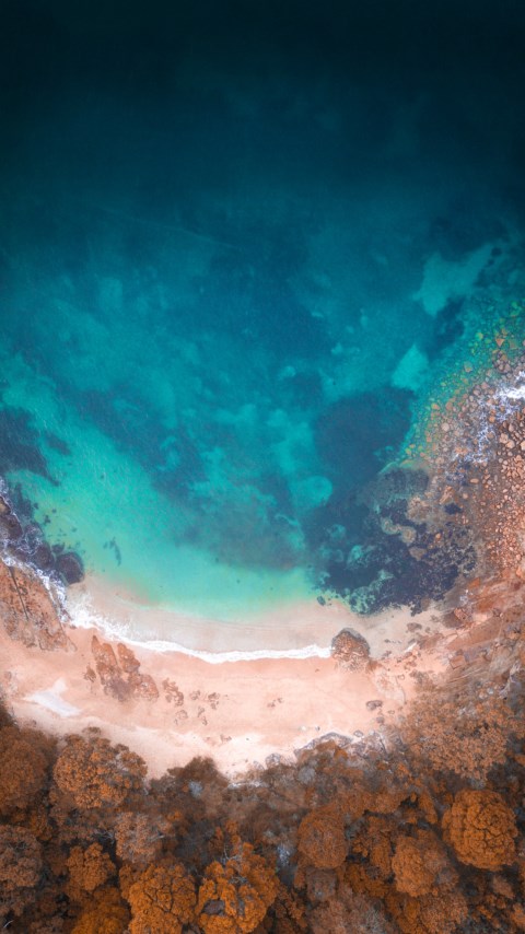 Reef beach, Australia wallpaper 480x854