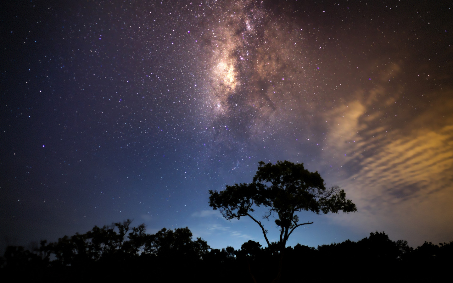 Enjoying the night sky wallpaper 1440x900