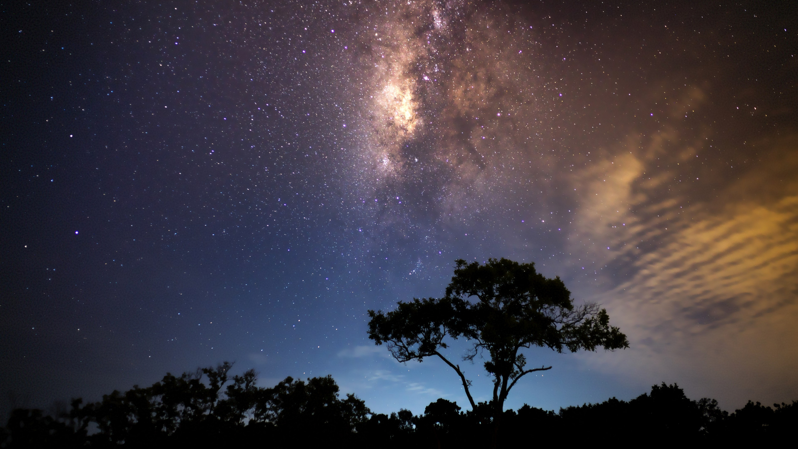 Enjoying the night sky wallpaper 2560x1440