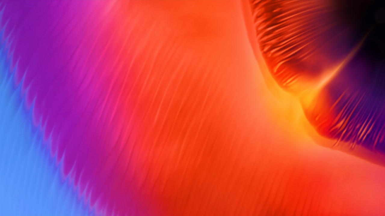Warm colors in Samsung A8 wallpaper 1280x720