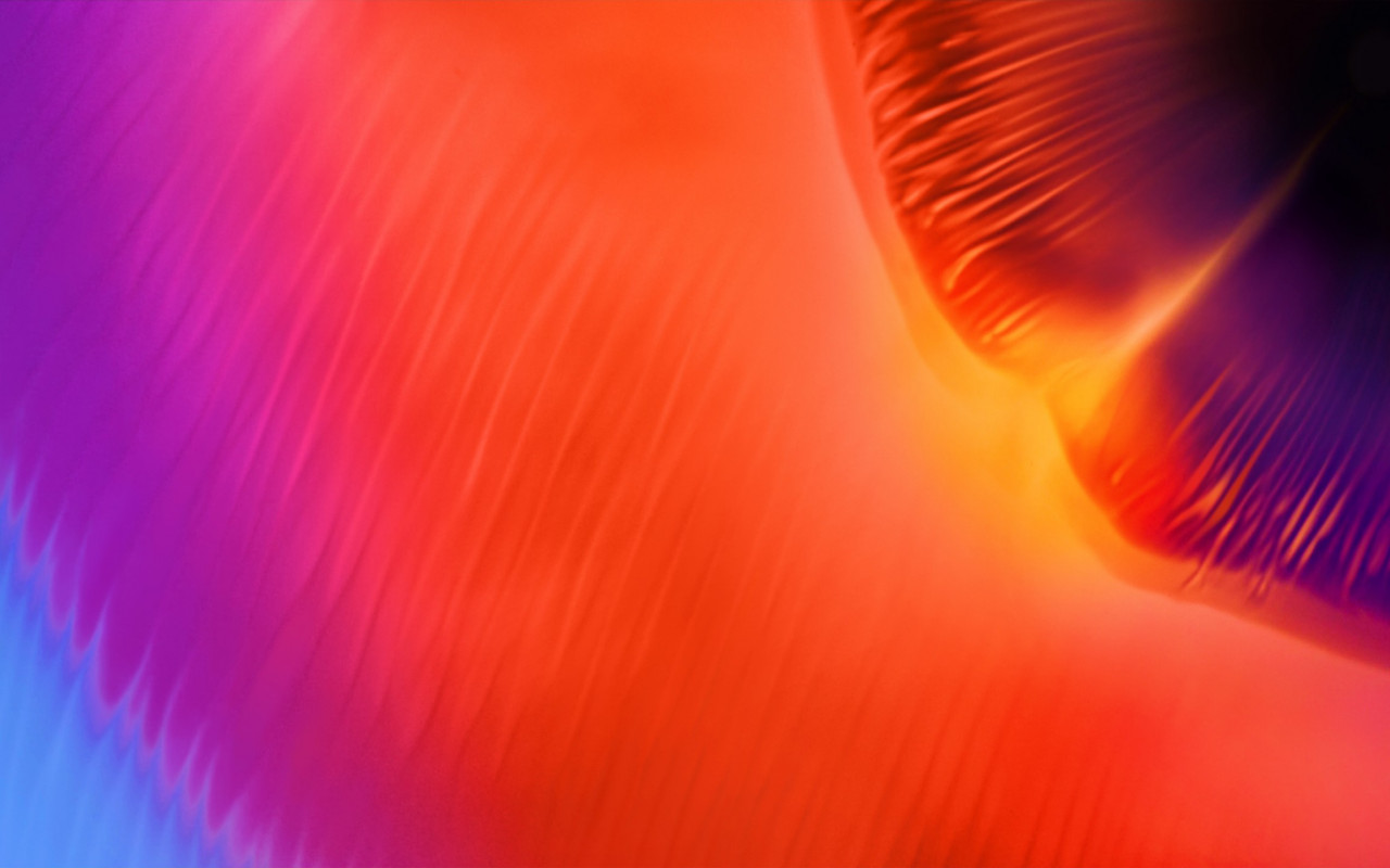 Warm colors in Samsung A8 wallpaper 1280x800