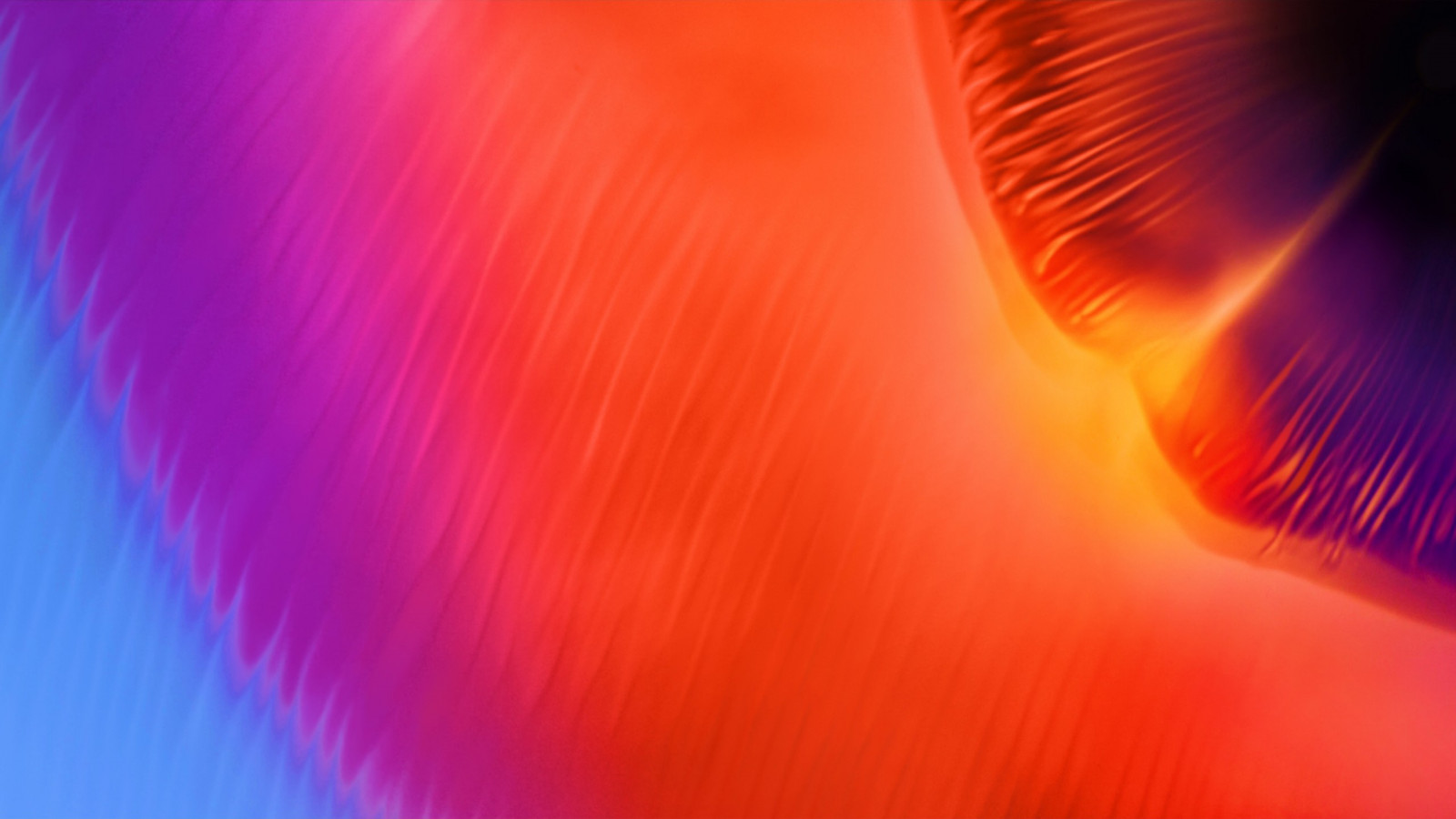 Warm colors in Samsung A8 wallpaper 1600x900