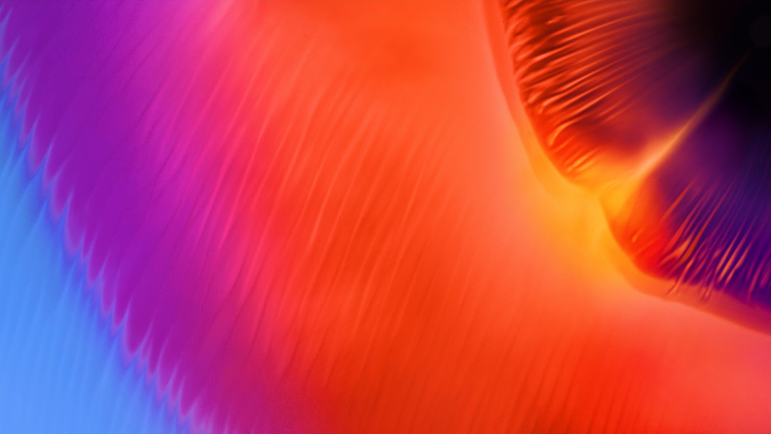 Warm colors in Samsung A8 wallpaper 2560x1440