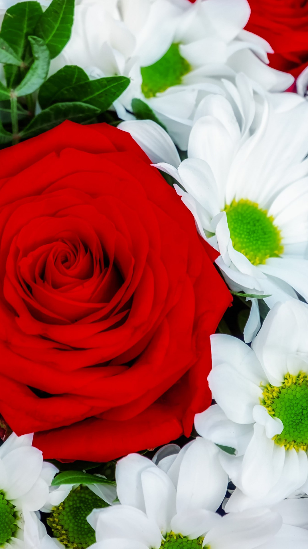 Roses and daisies bouquet wallpaper 1080x1920