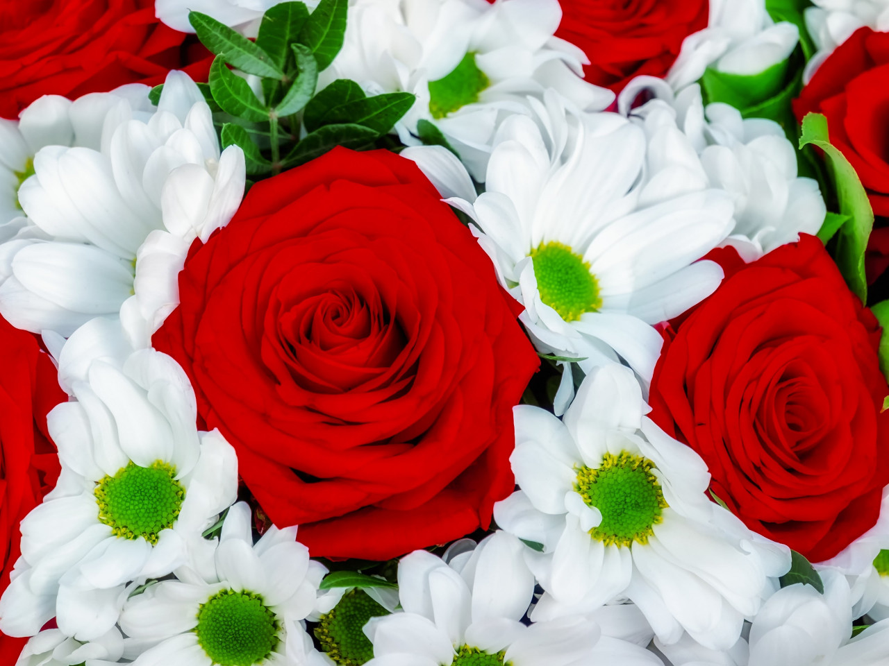 Roses and daisies bouquet wallpaper 1280x960