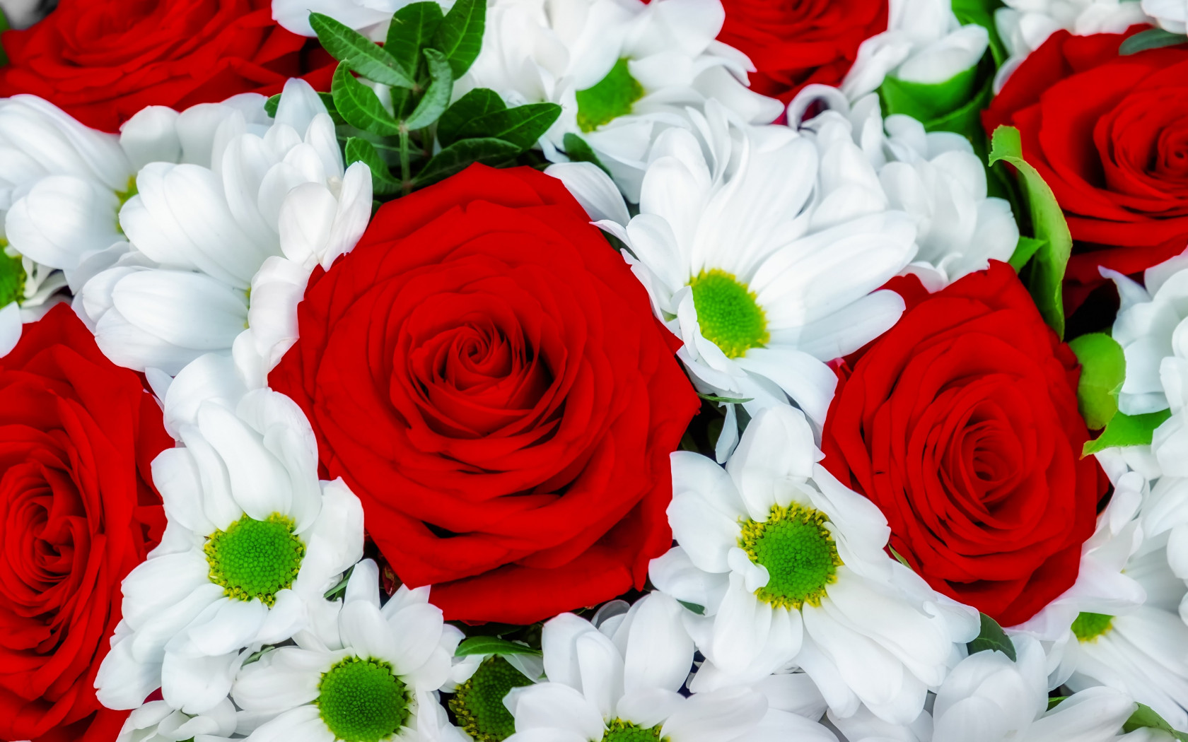 Roses and daisies bouquet wallpaper 1680x1050