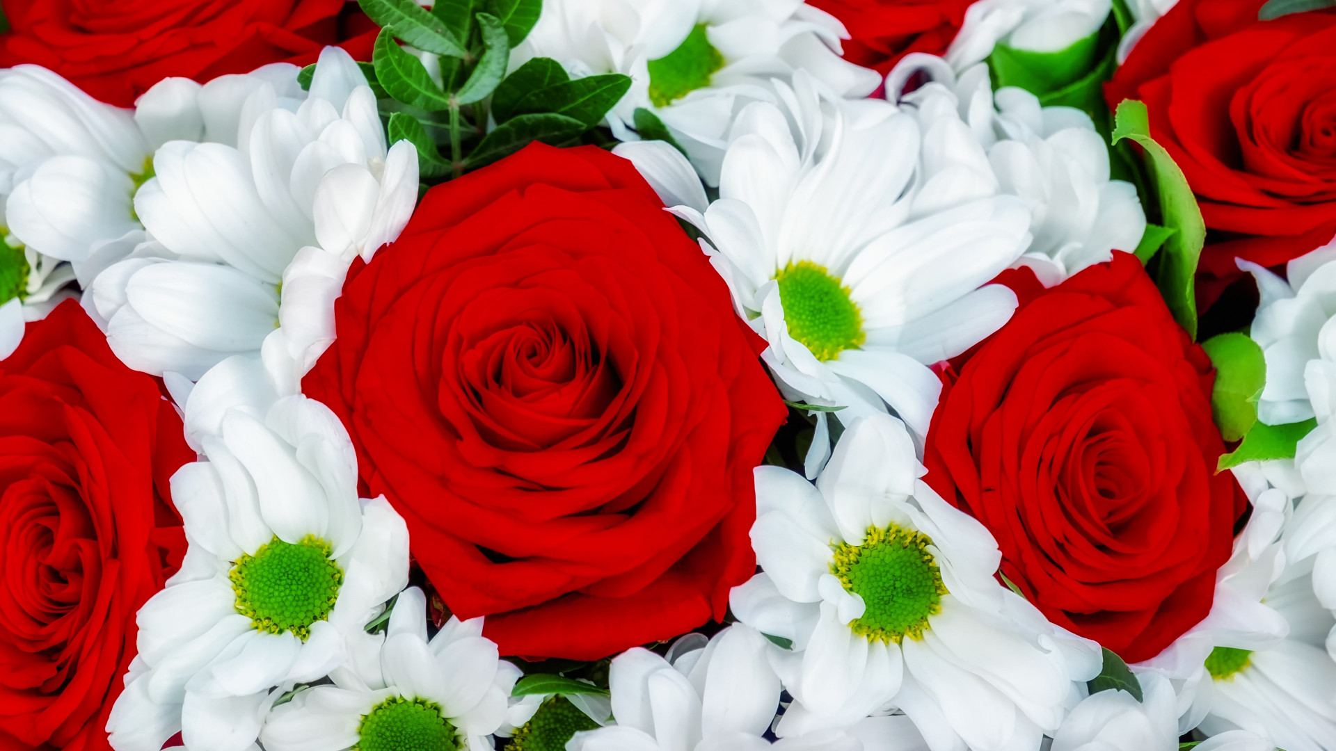Roses and daisies bouquet wallpaper 1920x1080