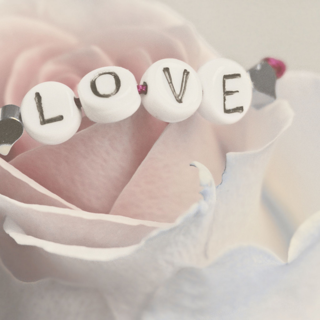 Love bracelet on a white rose wallpaper 1024x1024