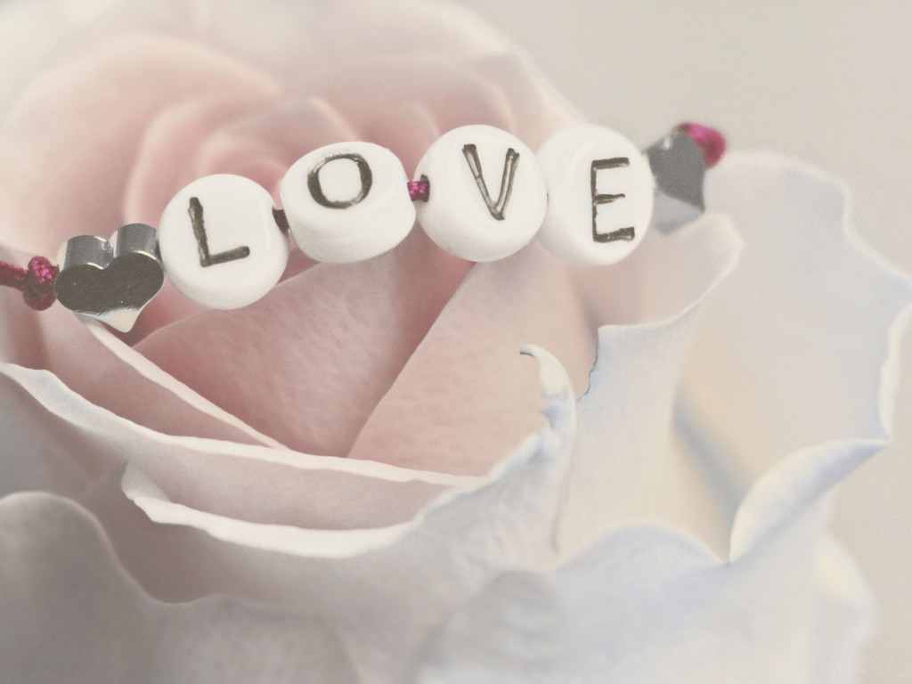 Love bracelet on a white rose wallpaper 1024x768