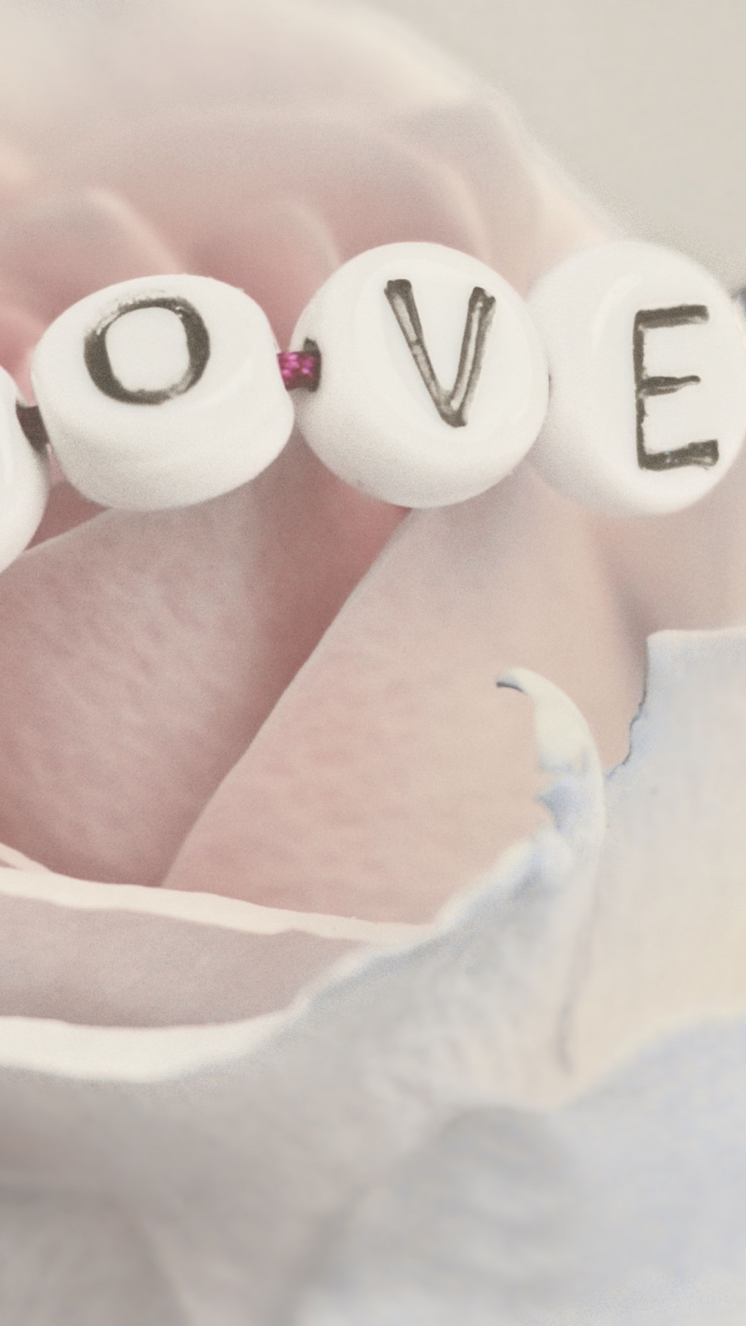 Love bracelet on a white rose wallpaper 1080x1920