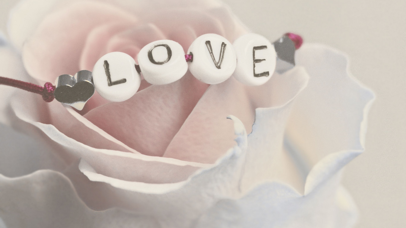 Love bracelet on a white rose wallpaper 1366x768