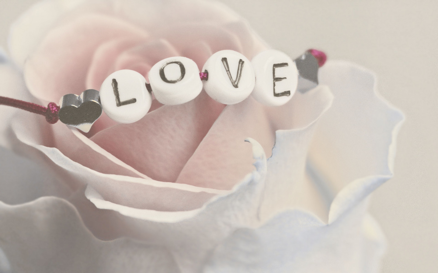 Love bracelet on a white rose wallpaper 1440x900