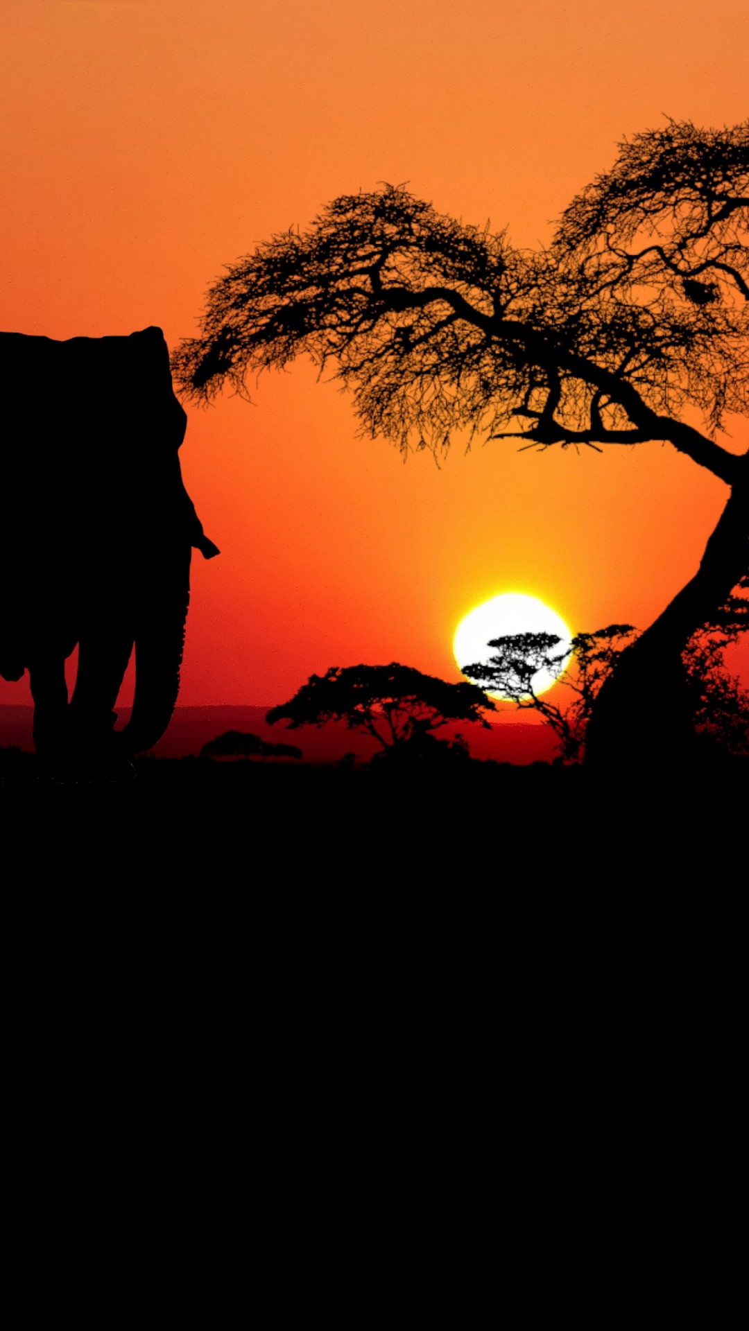 africa macbook pro desktop wallpaper