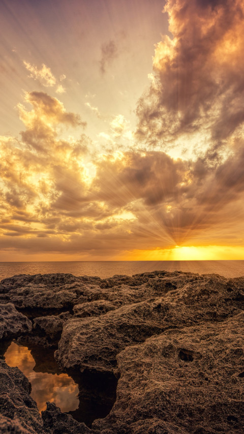Sunset from the sea coast wallpaper 480x854