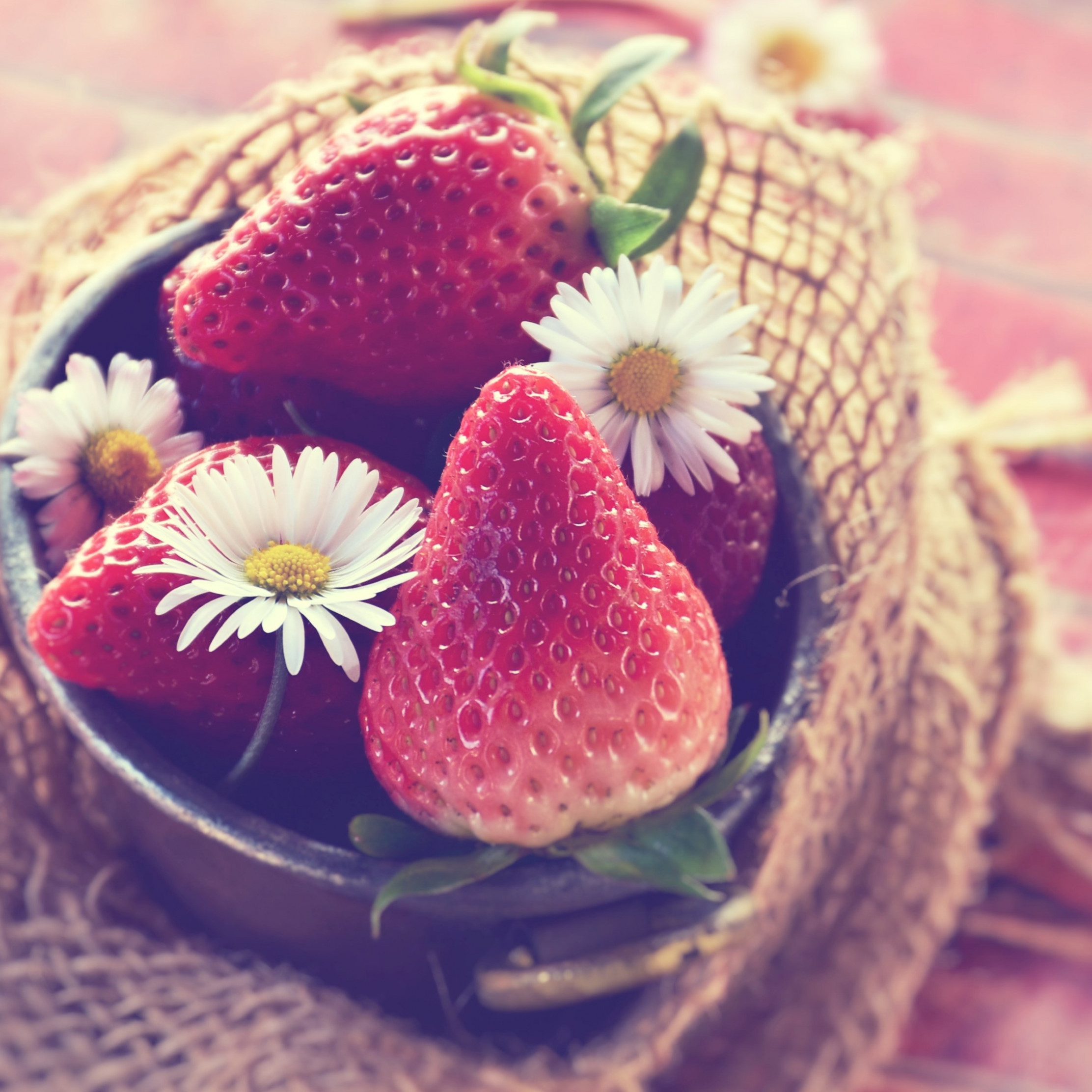 Tasty strawberries wallpaper 2224x2224