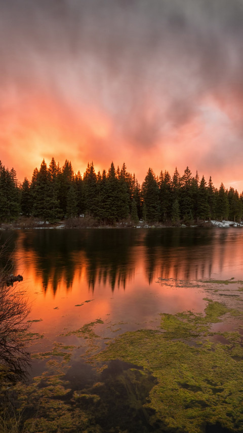 Colorado Ablaze sunset wallpaper 480x854