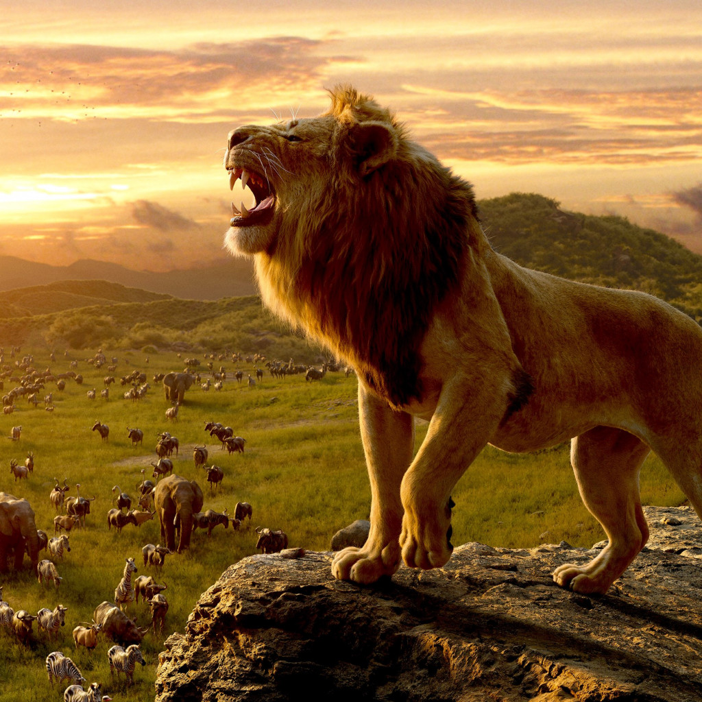 Simba, the lion king wallpaper 1024x1024