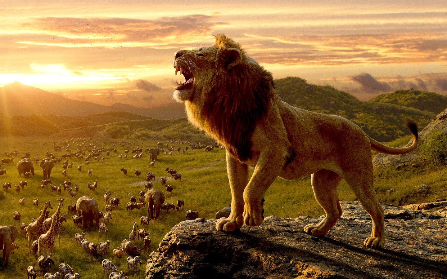 Simba, the lion king wallpaper 1440x900