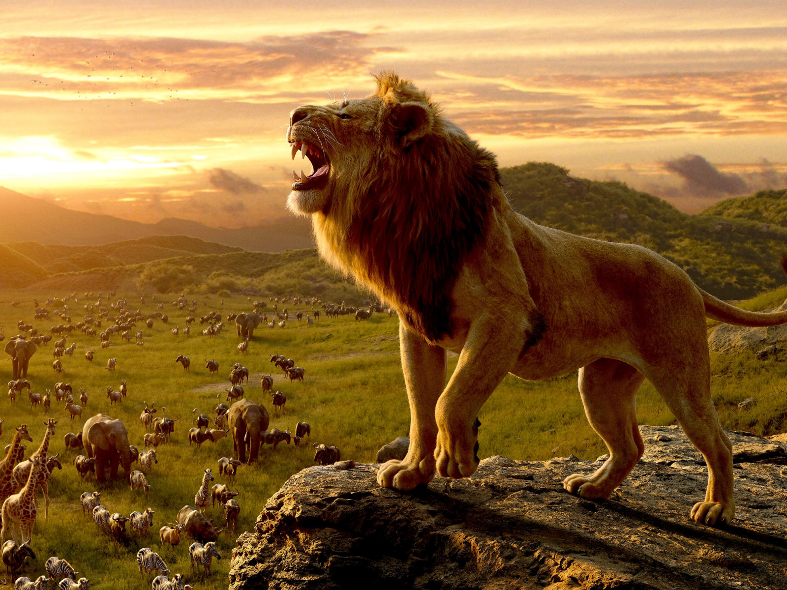 Simba, the lion king wallpaper 1600x1200