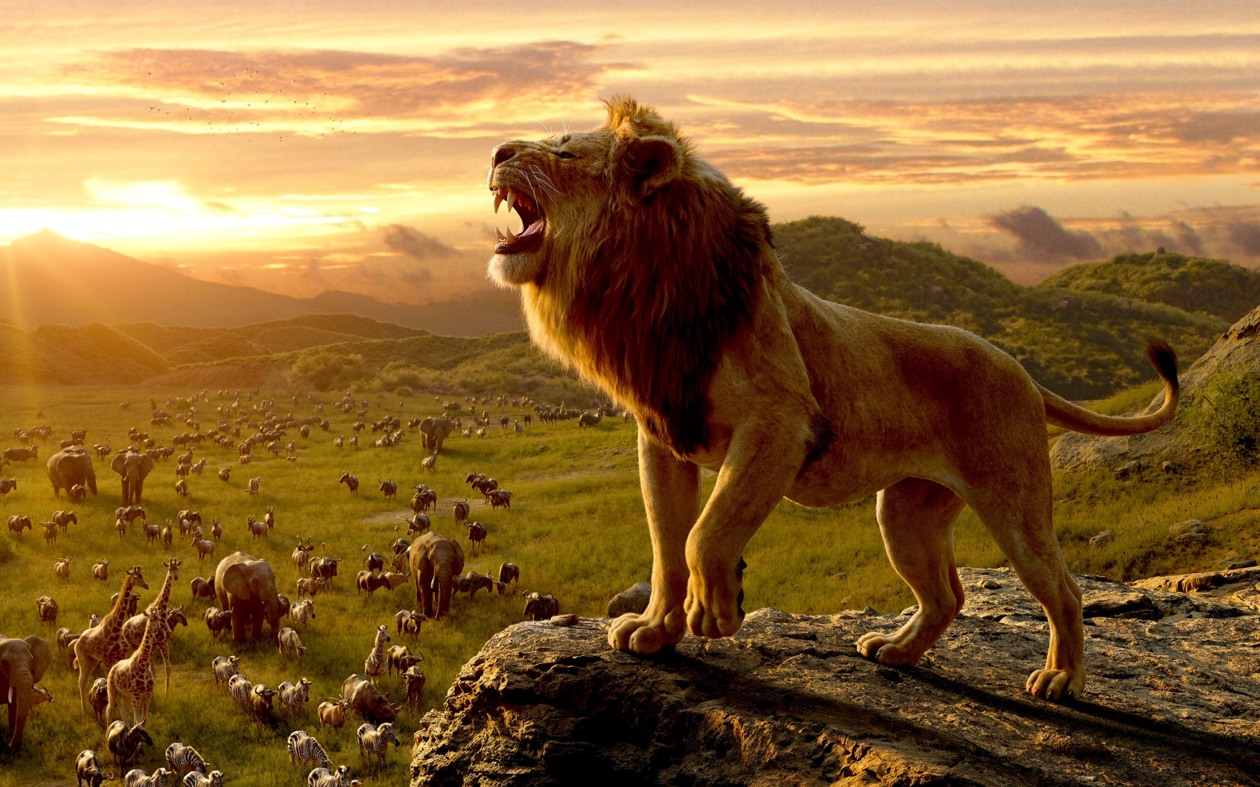 Simba, the lion king wallpaper 2560x1600