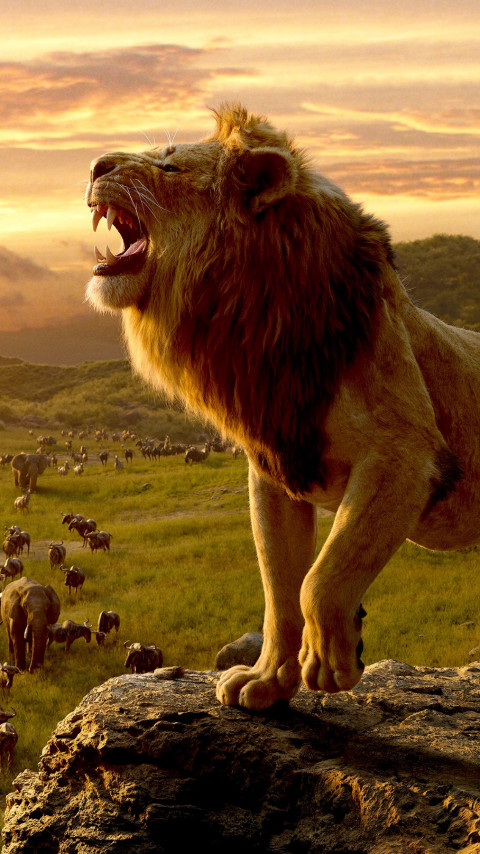 Simba, the lion king wallpaper 480x854