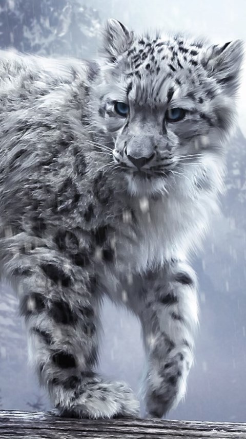 Snow leopard wallpaper 480x854