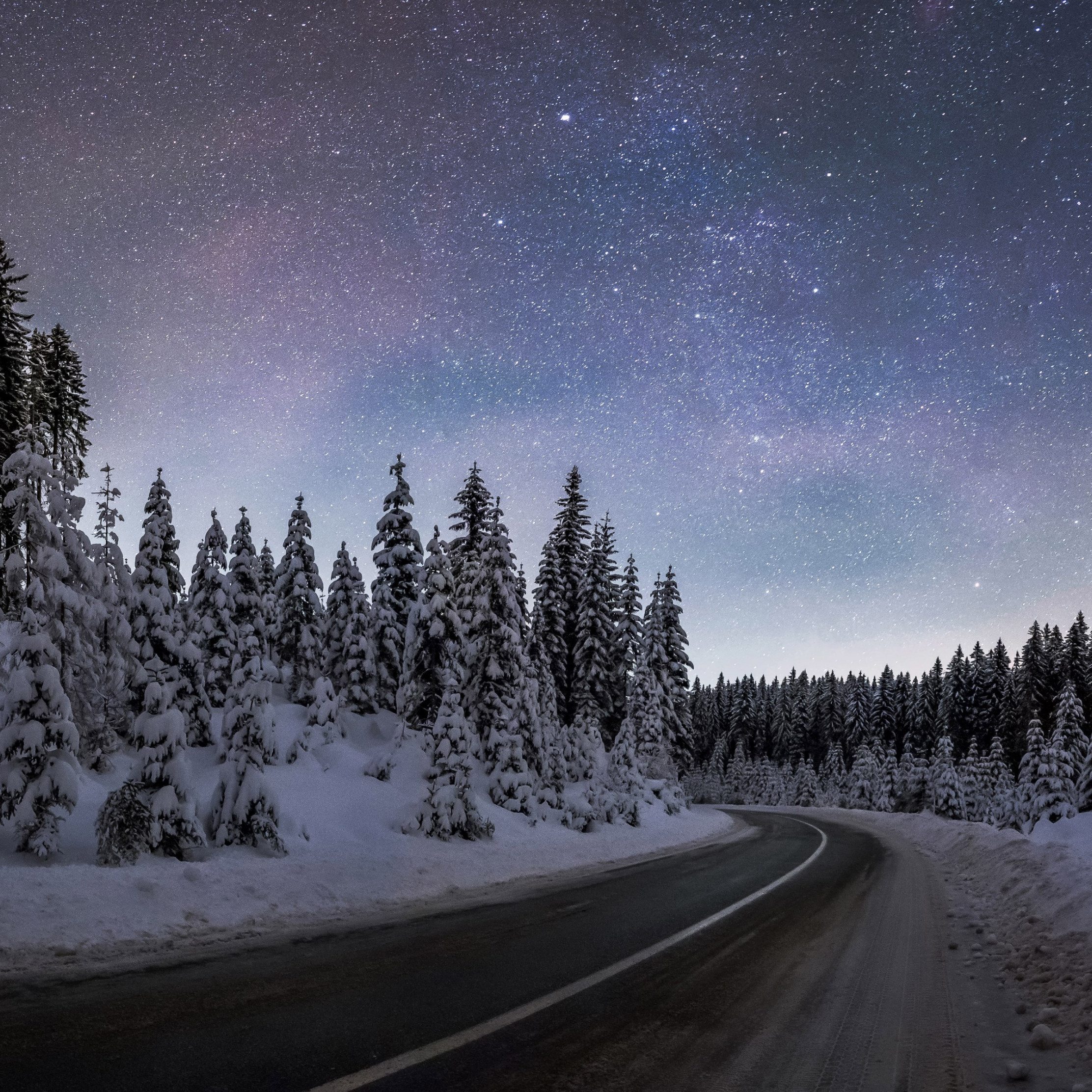 Winter night at Pokljuka forest wallpaper 2224x2224