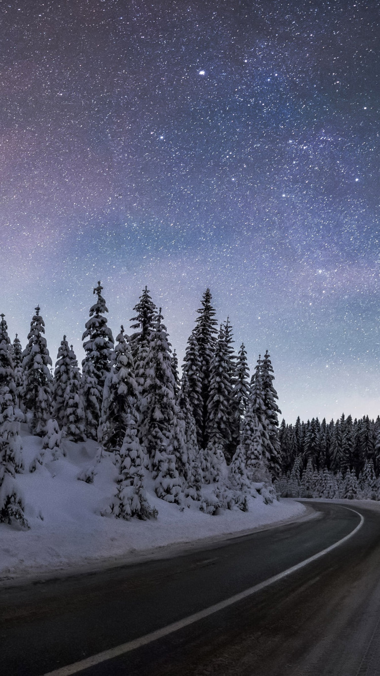 Winter night at Pokljuka forest wallpaper 750x1334