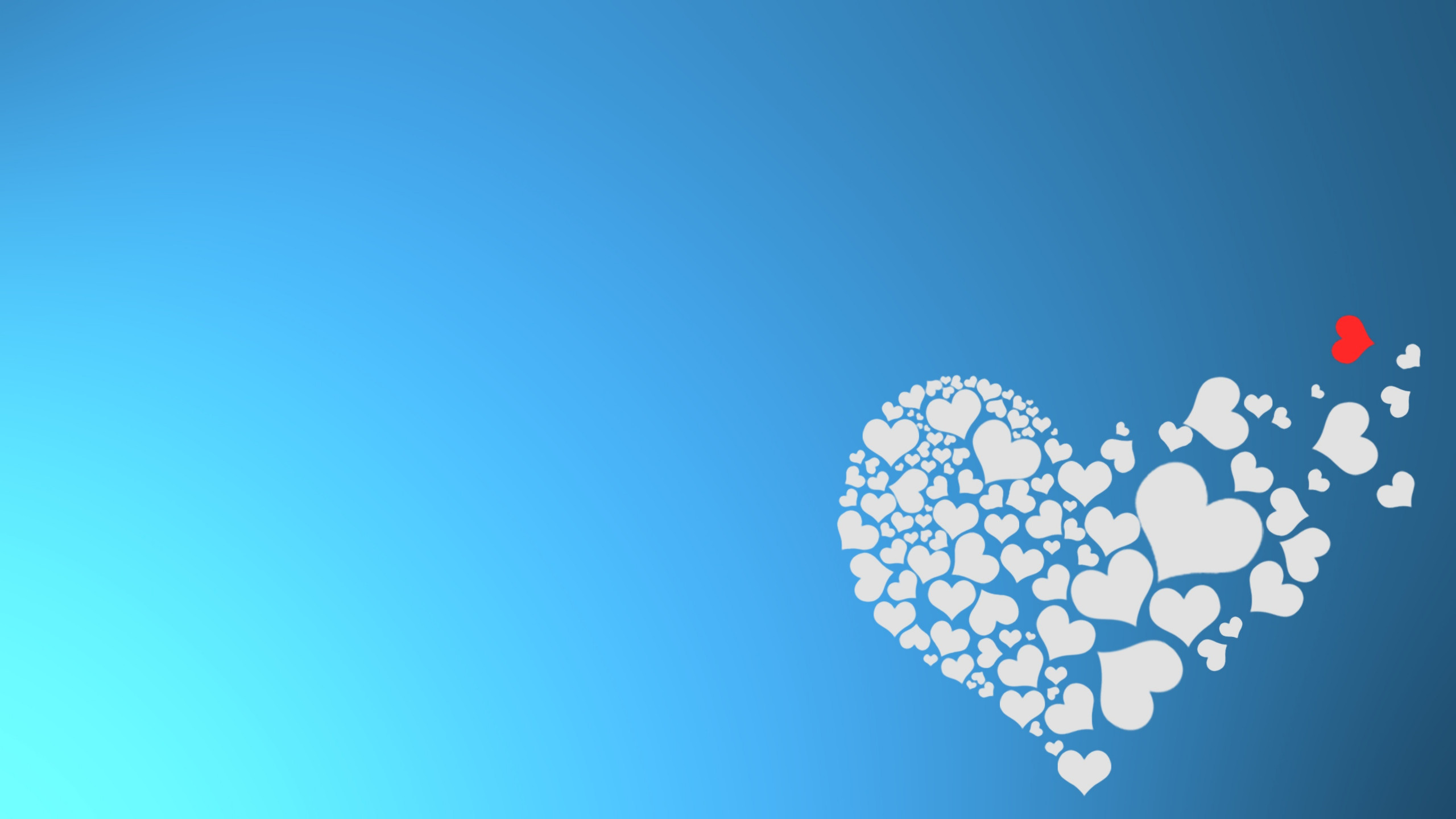 The hearts of love wallpaper 2560x1440