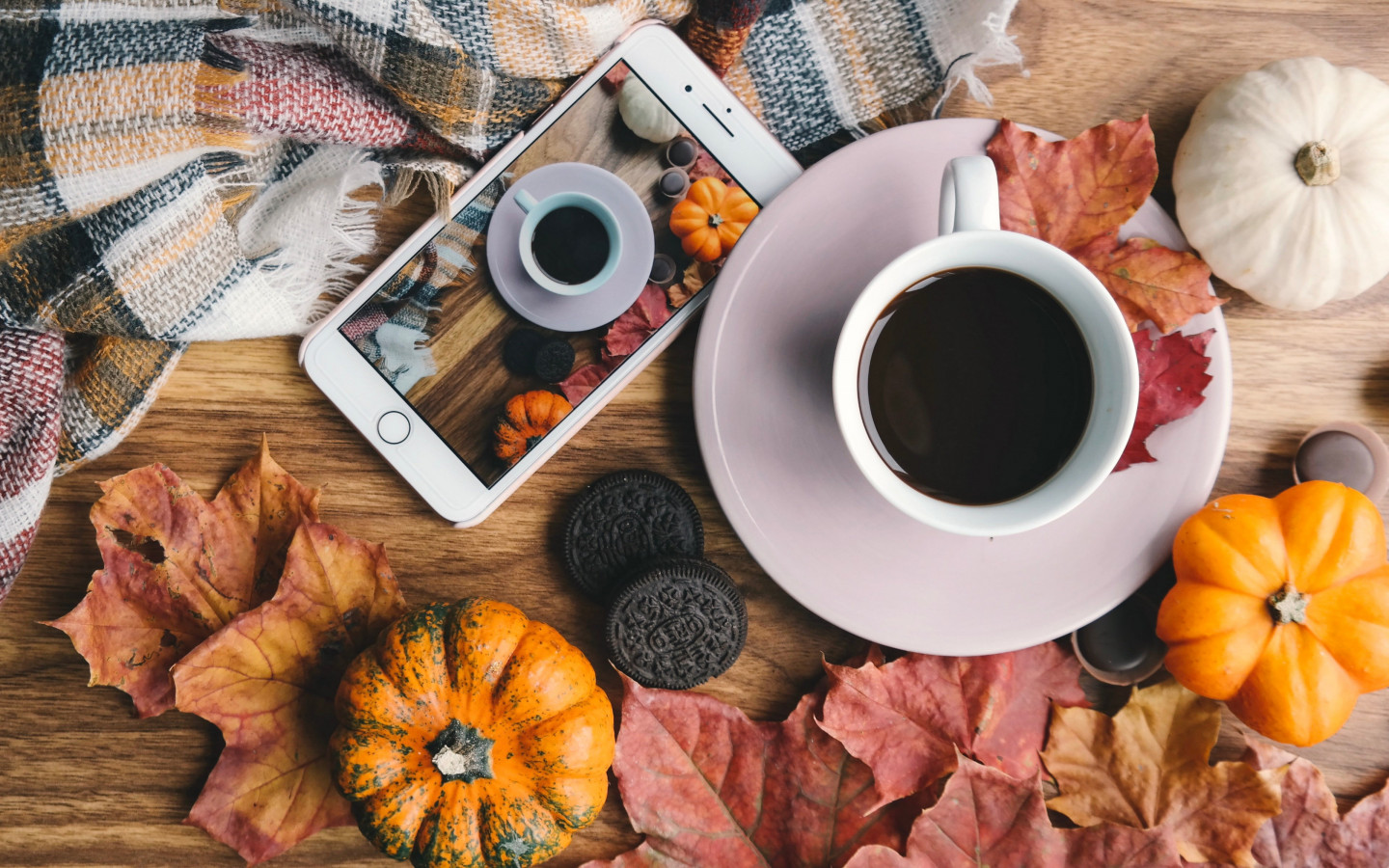 Autumn, coffee, pumpkins, leaves wallpaper 1440x900