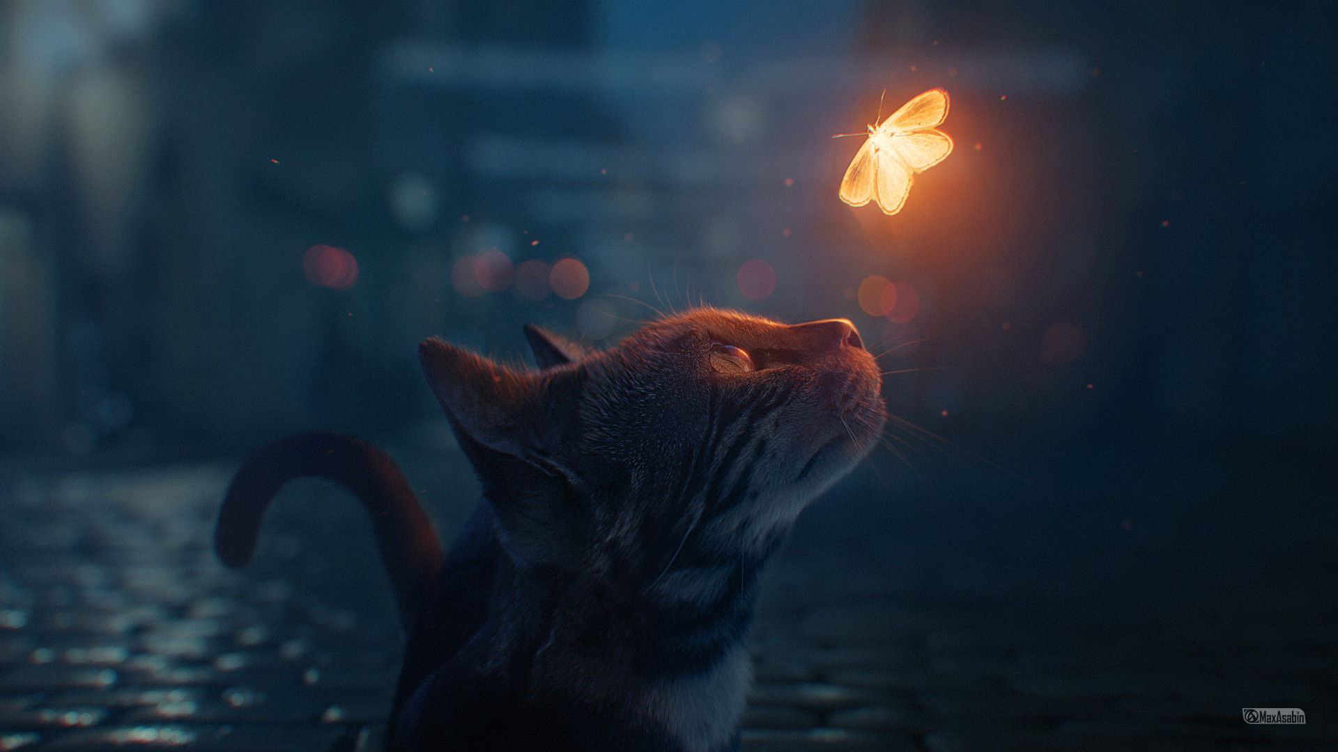 The cat and the butterfly wallpaper 1920x1080