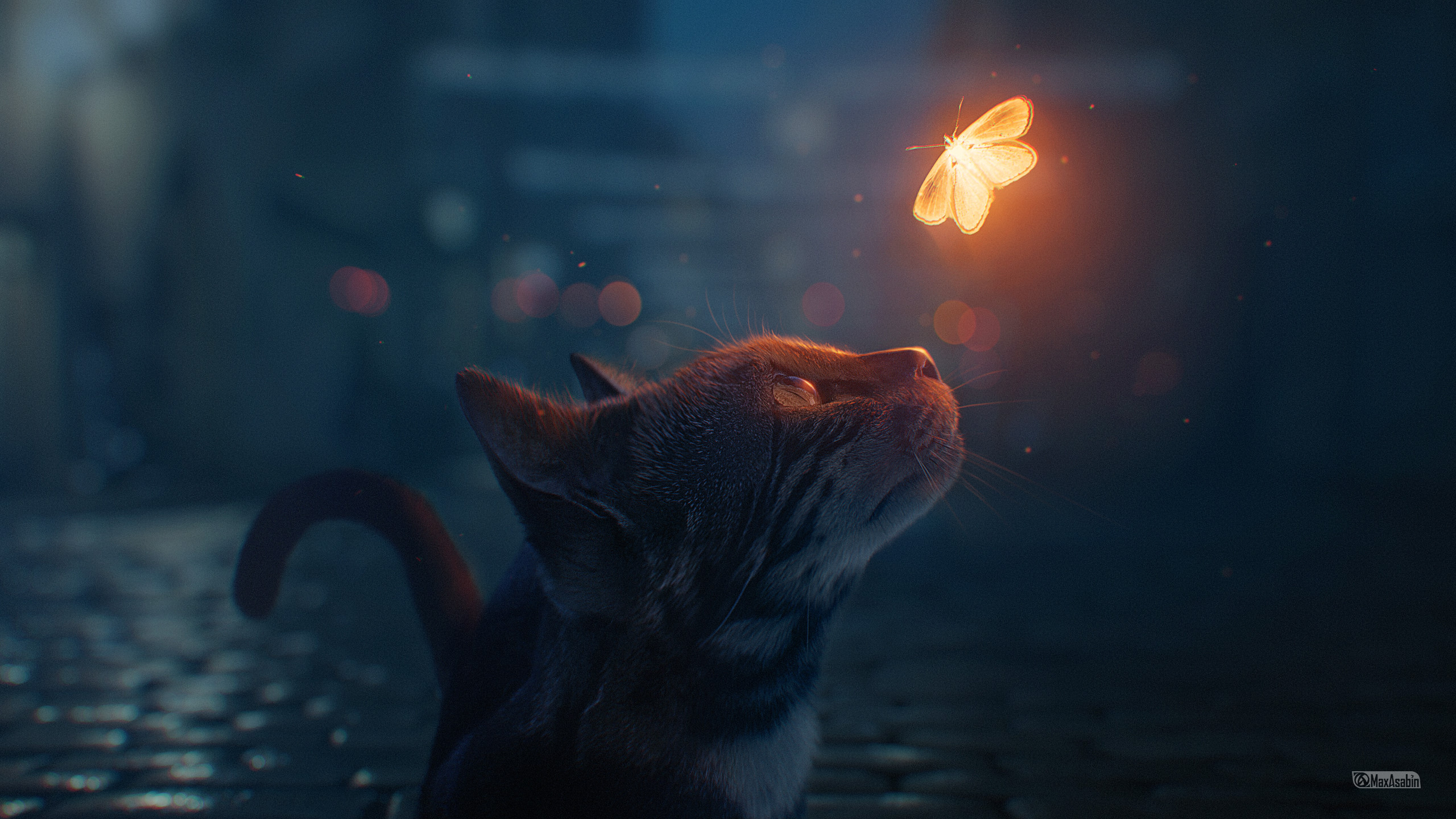 The cat and the butterfly wallpaper 2560x1440