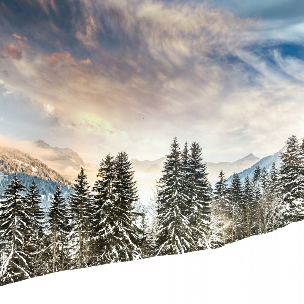 Winter view on Mount Eggli wallpaper 1024x1024